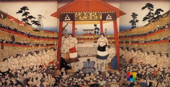 istoria sumo